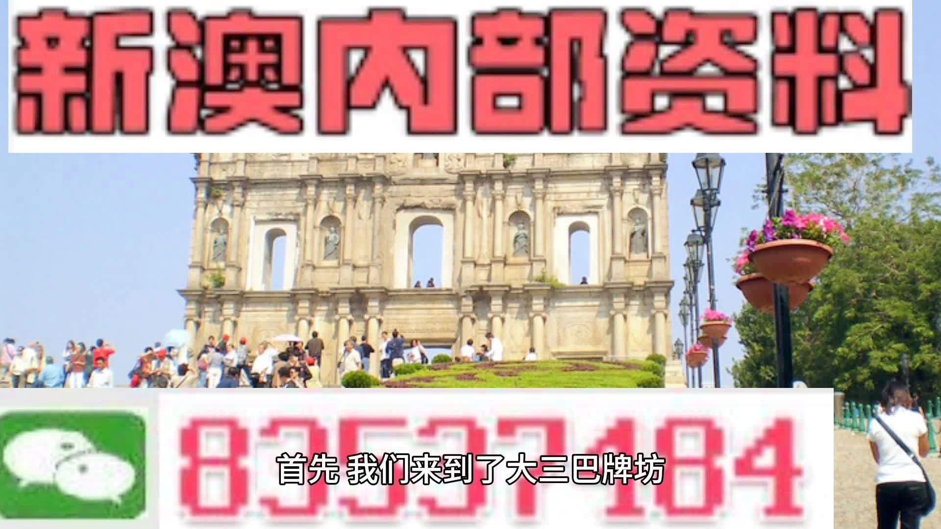 2024新澳今晚资料年051期-专业分析解释落实