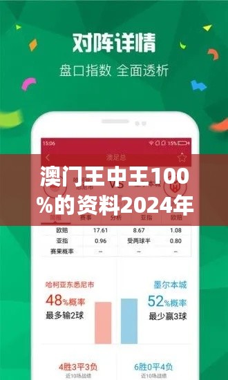 2024澳门王中王100%期期中-专业分析解释落实