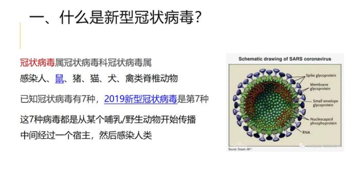 最新肺炎感染，全球的挑战与应对策略