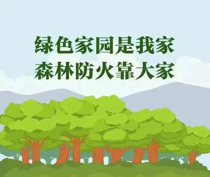 延庆最新火情，全面应对，守护绿色家园