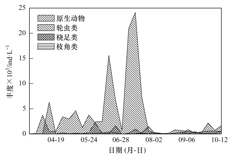 最新沪市配股动态及其影响