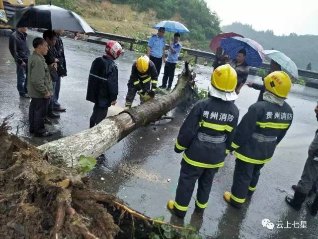 洪水最新报道，各地灾情及应对措施