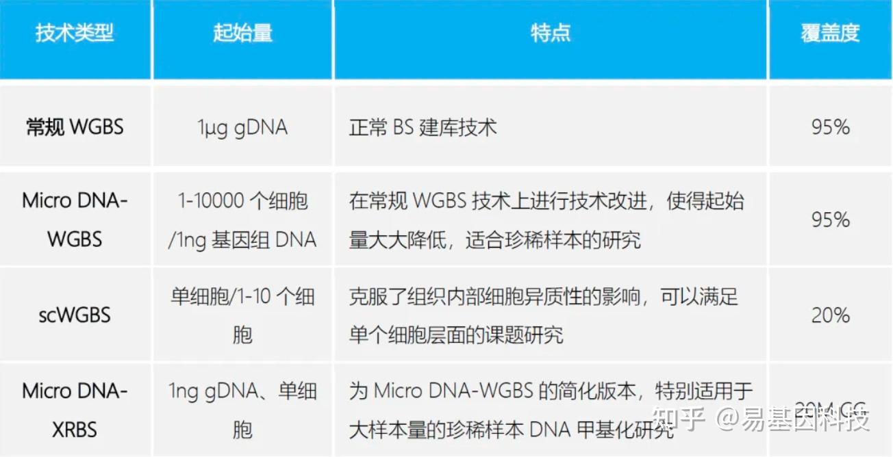 最新疫情黄历，人类与病毒的较量及其影响分析