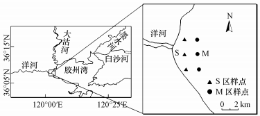 大连最新肝炎概况及其影响