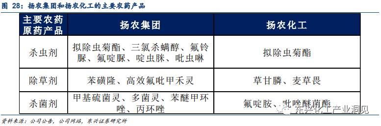 沈阳最新报告，城市发展与未来展望